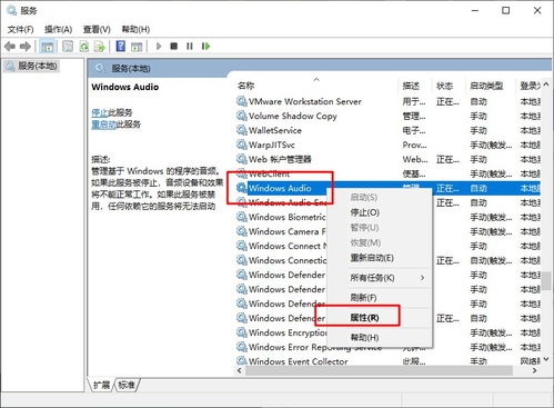 电脑没有音频设备怎么办？软硬件问题排查与解决方法详解