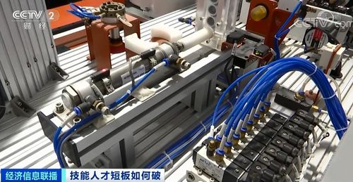 从大厂程序员到工厂螺丝钉 一位海归的选择与重生
