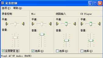 电脑录音控制灰色故障解析与软硬件批发业务关联